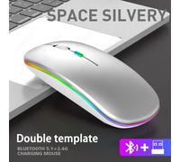 Souris sans fil 5.2 BT pour Apple,iPad 10.2 2019 9.7 2018,inspectés,6e,7e,8e,9e génération,Air 2 3 4 5 10.5 Pro 11 12.9 mini 6 5 - Type Silver