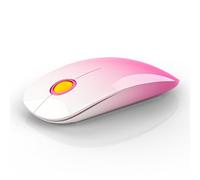 Souris sans fil Bluetooth (BT5.1 + USB) Souris d'ordinateur fine à double mode avec clic silencieux, faible consommation et 1600 ppp, souris sans fil portable pour MacBook, ordinateur portable, iPad