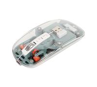 Souris sans Fil Bluetooth, Souris de Jeu Mécanique RVB Magnétique Transparente, Récepteur USB C, Souris Kawaii Rechargeable, pour PC Windows, OS X, Android, Entreprise, PC, (Vert)