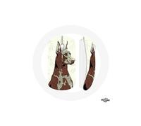 Souris Sans Fil Doberman Race de chiens