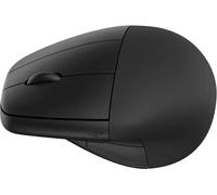 Souris sans fil ergonomique HP 920