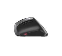 Souris sans fil ergonomique CHERRY MW 4500 Pour soulager le poignet avec inclinaison a 4 G