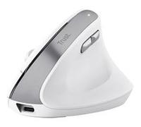 Trust Souris sans fil Bayo II – ergonomique, optique 2400 DPI droitier – Blanc
