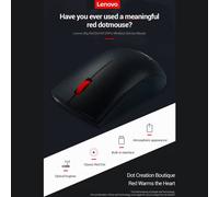 Souris sans fil Lenovo M120PRO 1000 DPI, ergonomique, noire, 118x61x38 mm