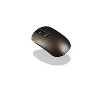MC-WM101 - Souris - optique - 3 boutons - sans fil - 2.4 GHz - récepteur sans fil USB - brun