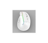 Souris Sans Fil Optique RGB M618DB-RGB-WH