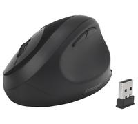 Souris Sans Fil Pro Fit Ergo, Noire - K75404EU