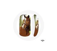 Souris Sans Fil Quarter Horse Marron Race de cheval ()