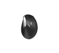 Souris sans fil - RAPOO - EV250 - Ergonomique - 1600 DPI - Clic silencieux