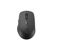 Rapoo M300 Silent souris Bureau Ambidextre RF sans fil + Bluetooth Optique 1600 DPI