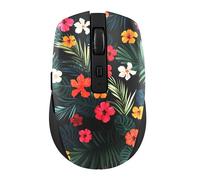 T'nB - Souris sans Fil Design, Double Mode Bluetooth et USB-A, Rechargeable Haute Autonomie, Silencieuse, Précision 1600 DPI, 6 Boutons, Compatible Windows, Linus et MacOs - Modèle Amazonia