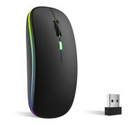 Souris sans Fil Rechargeable, Souris rétroéclairée de 7 Couleurs avec Mini récepteur USB de 2,4 GHz, Souris Gaming