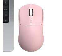Souris sans fil - souris d'ordinateur portable ergonomique, contrôle DPI réglable, périphérique de silencieux, récepteur USB portable | Avec une technologie 2.4 g pour les accessoires de travail