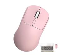 Souris sans fil - Souris silencieuses sans fil 2.4g ordinateur portable, souris sans fil pour tablettes, souris d'ordinateur à clics silencieux, fournitures de travail DPI réglables, accessoires