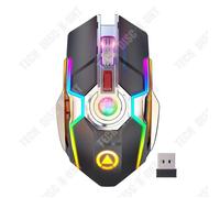 Souris sans fil - TD® - Multifonctionnelle - Silencieuse - Lumineuse RVB - Rechargeable