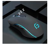 Souris sans fil - TD® - Rechargeable - Bluetooth et 2.4G - Silencieuse - 6 boutons