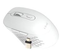 Souris Sans Fil WiFi et Bluetooth 2.4G avec Dongle USB C et USB Blanc