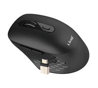 Souris Sans Fil WiFi et Bluetooth 2.4G avec Dongle USB C et USB Noir