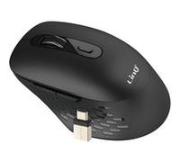 Souris Sans Fil WiFi et Bluetooth 2.4G avec Dongle USB C et USB Noir