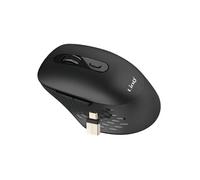 LinQ Souris Sans Fil WiFi et Bluetooth 2.4G avec Dongle USB C et USB Noir