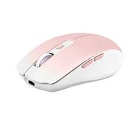 Souris T'NB GRADIENT Rose