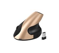 Souris Verticale 2.4G Sans Fil Photoélectrique Muet Ergonomique Vertical Rechargeable Or