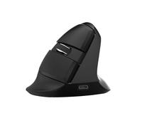 Souris verticale sans fil Delux M618Mini Bt+2.4G Rgb 4000Dpi (Gris)