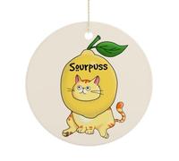 Sourpuss Décoration pour sapin de Noël, jeu de mots amusants en céramique à suspendre, décoration de fête d'hiver, cadeaux de Noël, cercle de 7,5 cm