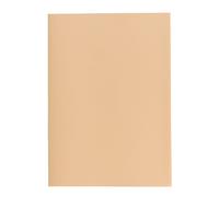 Exacompta - Réf. 850002E - Paquet de 250 sous-chemises SUPER 60 g/m2 aux couleurs pastel - sous chemises certifiées PEFC™ - dimensions 22 x 31 cm pour format A4 - couleur bulle