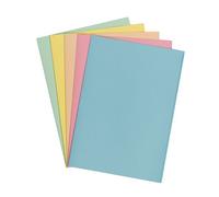 Sous-chemise recyclée Exacompta 22 x 31 cm couleurs assorties - Paquet de 250