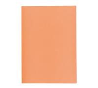Sous-chemise recyclée Exacompta - 22 x 31 cm orange - Paquet de 250
