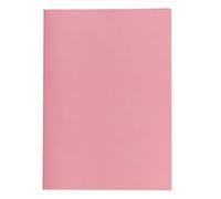 Sous-chemise recyclée Exacompta - 22 x 31 cm rose - Paquet de 250
