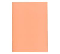 Exacompta Sous-chemises SUPER 850002E – Paquet 250, 60 g/m², cert. PEFC, 22×31 cm, couleur bulle