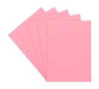 Sous-chemise standard 60 g 22 x 31 cm couleur - Paquet de 100 - rose