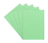 Sous-chemise standard 60 g 22 x 31 cm couleur - Paquet de 100 - vert