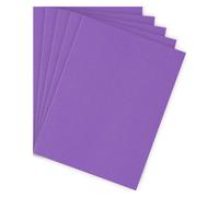 Sous-chemise standard 80 g Bruneau 22 x 31 cm violette - Paquet de 100 - Sous-chemises - Bruneau