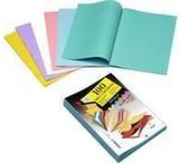 Sous-chemises RAINEX - Paquet de 100 - Papier 60g - 22x31cm - Assortis 5 coloris