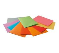 Sous-chemises Rainex 80g rock assorti - pochette de 30 G