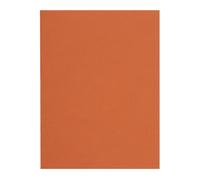 Exacompta Sous-chemises Flash recyclées 80 g 22 x 31 cm couleurs Paquet de 100 orange G