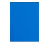 Sous-chemises recyclées 80 g Flash Exacompta 22 x 31 cm couleurs - Paquet de 100 - bleu foncé