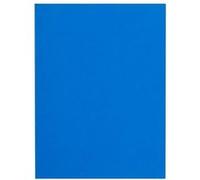 Sous-chemises recyclées 80 g Flash Exacompta 22 x 31 cm couleurs - Paquet de 100 - bleu foncé Bleu G