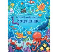 Sous la mer - Le grand livre des labyrinthes Sam Smith (Auteur), Susanna Rumiz (Illustration), Valeria Danilova (Illustration), The boy Fitz Hammond (Illustration), Oscar Julve (Illustration), Wesley