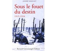 Sous le fouet du destin 1915-1916 Histoire d'une âme aux temps héroïques - André Maillet - Giovanangeli Bernard - broché - Récit