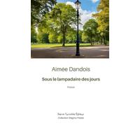 Sous le lampadaire des jours