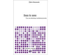 Sous le sens Pour une sémantique multidimensionnelle - Claire Beyssade - Presses Universitaires Vincennes - broché - Essai