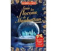 Sous les flocons de Manhattan