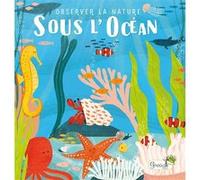 Sous l'océan Hannah Tolson (Illustration), Sarah Levison (Auteur)