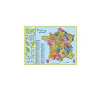 SOUS-MAIN CARTE DE FRANCE ADMINISTRATIVE 40,5 x 55 cm BOUCHUT