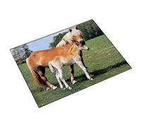 Läufer Sous-main Cheval et Poulain 400 x 530 mm – 46587.2 G