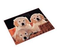 Sous-main cheval et poulain, 400 x 530 mm lâufer 46587.2 G